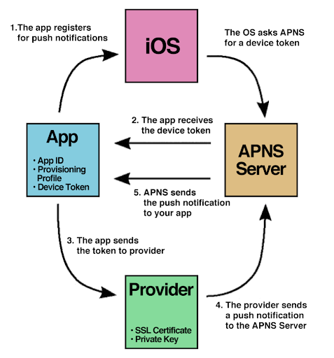 Firebase의 전화인증로그인과 Apple의 APNs