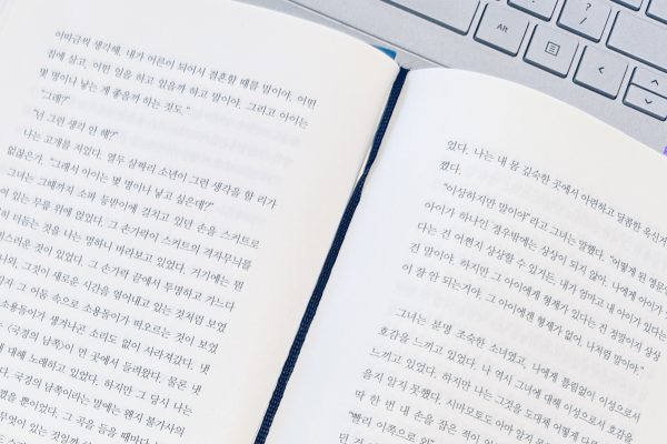 국경의 남쪽, 태양의 서쪽