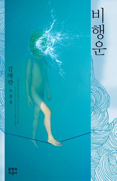 비행운(김애란)