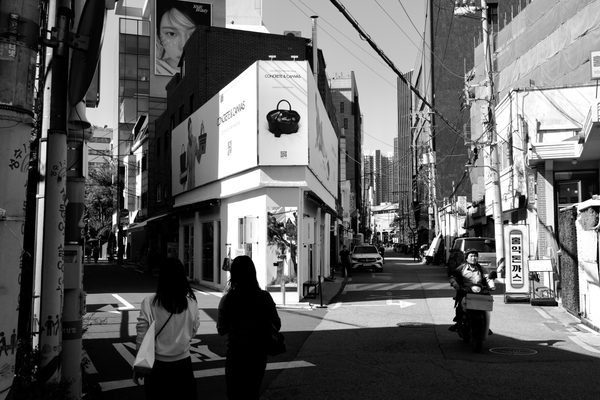 오래된 디카 메모리를 털다